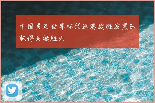 中国男足世界杯预选赛战胜波黑队取得关键胜利