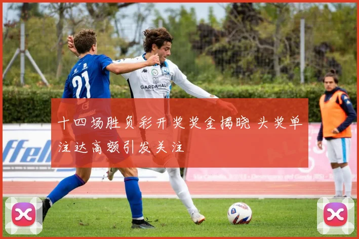 十四场胜负彩开奖奖金揭晓 头奖单注达高额引发关注
