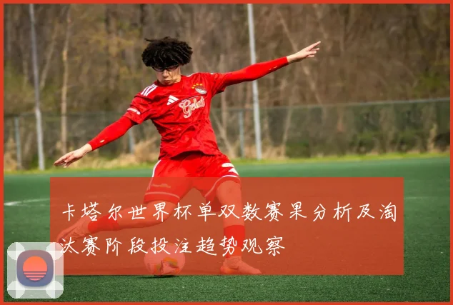 卡塔尔世界杯单双数赛果分析及淘汰赛阶段投注趋势观察