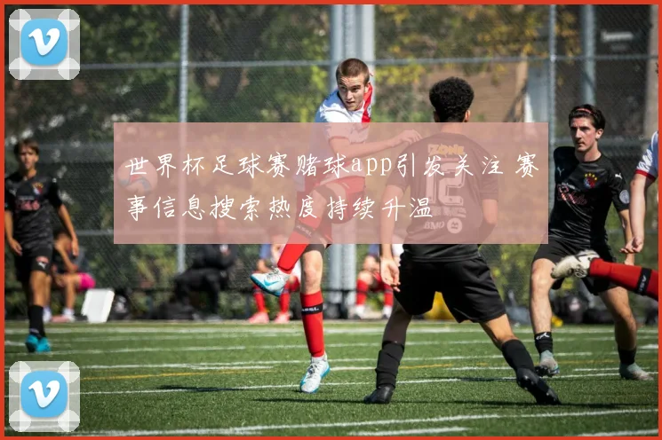 世界杯足球赛赌球app引发关注 赛事信息搜索热度持续升温