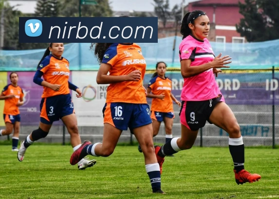 bsports官网地址品牌故事