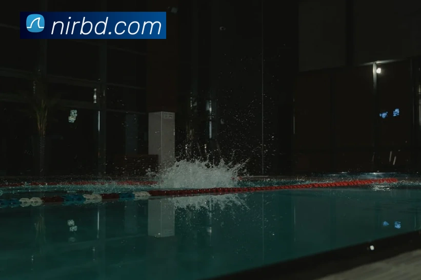 多媒体互动体验